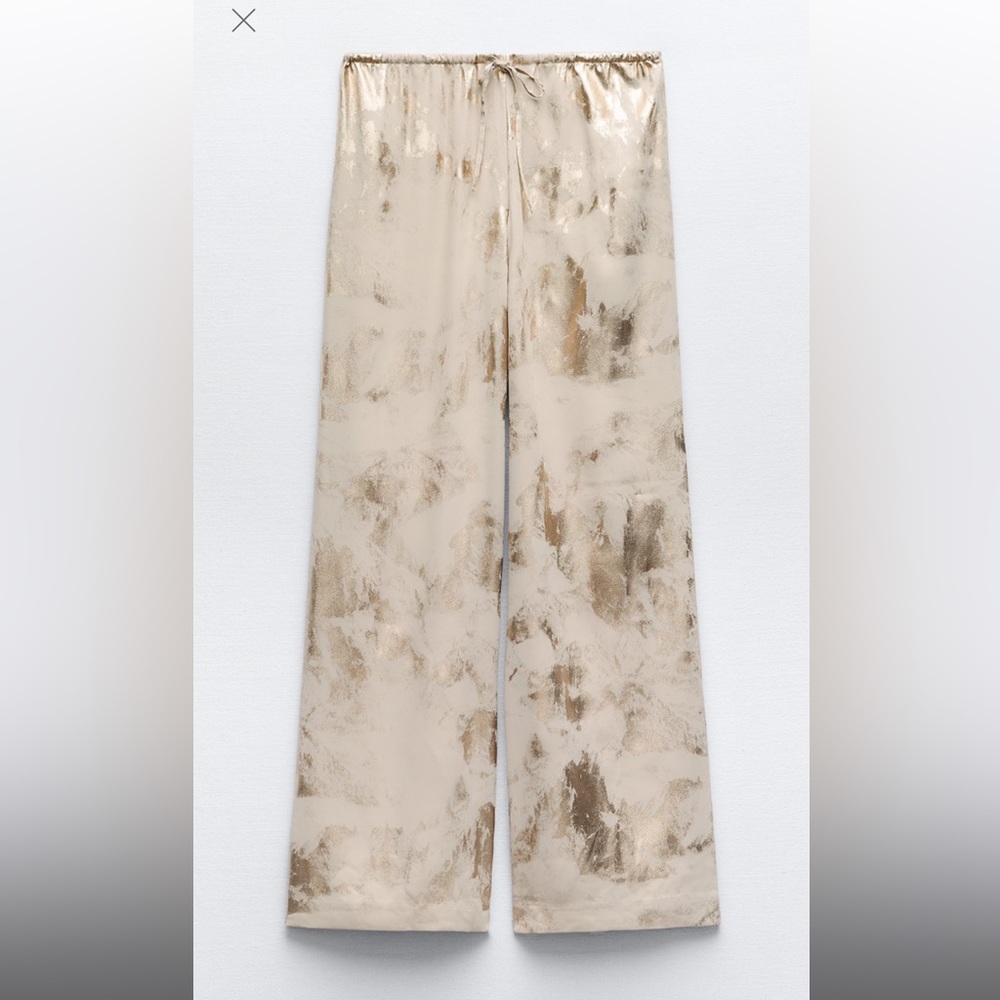 Zara Metallic Pants